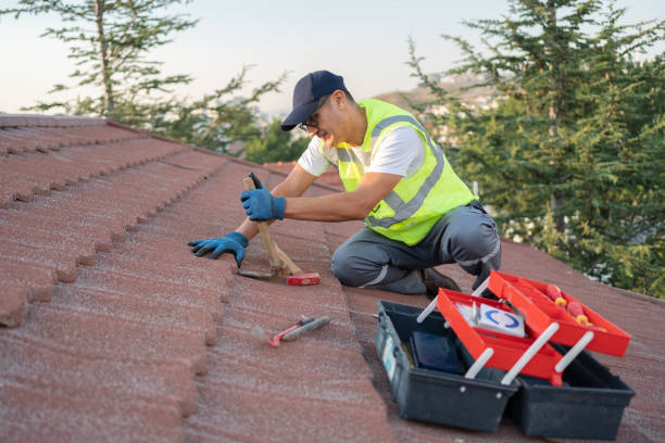 Best Metal Roofing Contractor  in Woodlake, CA